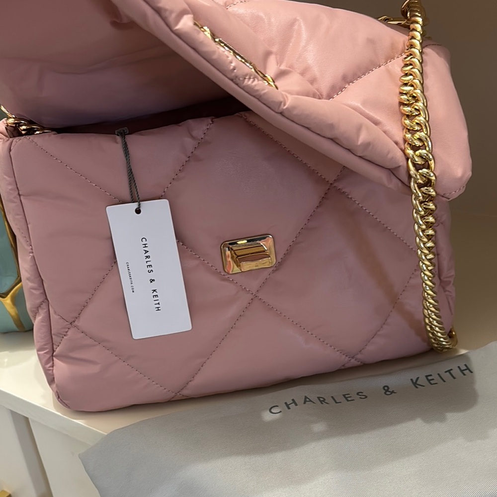 Charles & Keith Pink Quilted Chain Bag - Picture 3 of 14